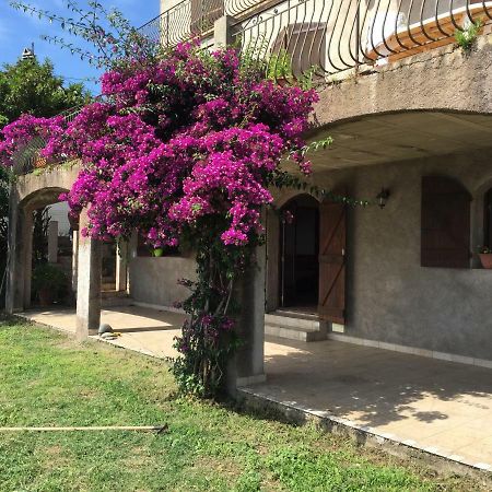 80 Route De San Martino Apartman Bastia  Kültér fotó
