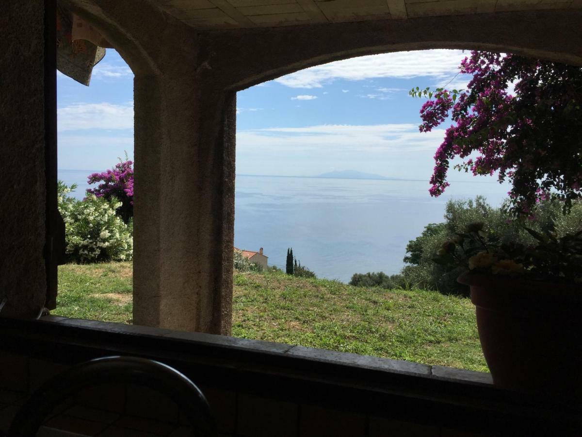 80 Route De San Martino Apartman Bastia  Kültér fotó