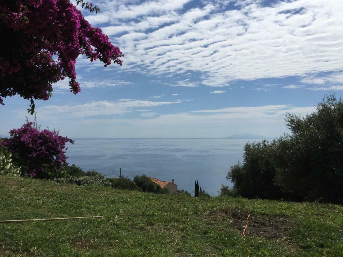 80 Route De San Martino Apartman Bastia  Kültér fotó
